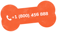 https://www.derfutternapf.com/wp-content/uploads/2019/07/text_02.png